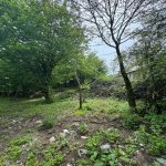 Satılır Torpaq İsmayıllı 3