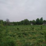 Satılır Torpaq Tərtər 6