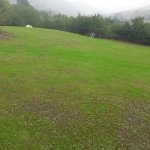 Satılır Torpaq Lerik 2