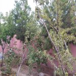 Satılır 4 otaqlı Bağ evi, Novxanı, Abşeron rayonu 16
