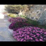 Kirayə (aylıq) 6 otaqlı Bağ evi, Bilgəh qəs., Sabunçu rayonu 7