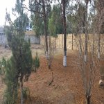 Продажа Участок, Шювалан, Хязяр район 5