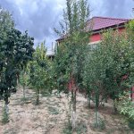 Satılır 4 otaqlı Həyət evi/villa Şirvan 22