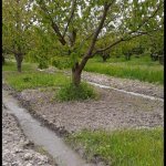 Satılır Torpaq, Qaradağ rayonu 2