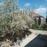 Satılır 3 otaqlı Bağ evi, Buzovna, Xəzər rayonu 28