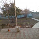 Продажа 4 комнатная Дома/Виллы Шеки 3