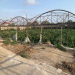 Satılır Torpaq, Türkan, Xəzər rayonu 6