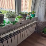 Satılır 2 otaqlı Yeni Tikili, Saray, Abşeron rayonu 9