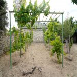 Satılır 3 otaqlı Bağ evi, Bilgəh qəs., Sabunçu rayonu 3