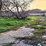 Satılır Torpaq, Digah, Abşeron rayonu 2