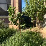 Satılır 7 otaqlı Həyət evi/villa, Mehdiabad, Abşeron rayonu 4