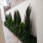 Satılır 4 otaqlı Həyət evi/villa, Buzovna, Xəzər rayonu 11