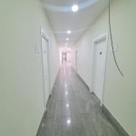 Kirayə (aylıq) 16 otaqlı Ofis, Azadlıq metrosu, Binəqədi rayonu 13