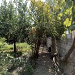 Satılır 3 otaqlı Həyət evi/villa Tərtər 4