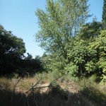Satılır Torpaq, Badamdar qəs., Səbail rayonu 3