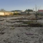 Satılır Torpaq, Novxanı, Abşeron rayonu 4