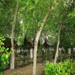 Satılır Obyekt Hacıqabul 5