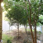 Satılır 5 otaqlı Həyət evi/villa, Zığ qəs., Suraxanı rayonu 24