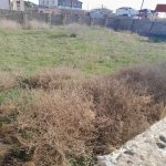 Satılır Torpaq, Nardaran qəs., Sabunçu rayonu 7