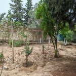 Kirayə (aylıq) 3 otaqlı Bağ evi, Mərdəkan, Xəzər rayonu 13