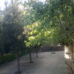 Kirayə (aylıq) 5 otaqlı Bağ evi, Bilgəh qəs., Sabunçu rayonu 10