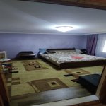 Kirayə (günlük) 3 otaqlı Bağ evi Lənkəran 10