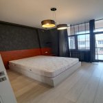 Kirayə (aylıq) 2 otaqlı Yeni Tikili, 28 May metrosu, Nəsimi rayonu 8