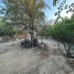 Продажа Участок, Мярдякан, Хязяр район 11