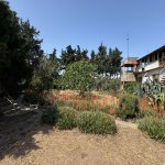 Satılır Torpaq, Şüvəlan, Xəzər rayonu 5