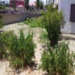 Продажа Участок, Новханы, Абшерон район 10