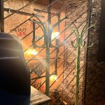 Kirayə (aylıq) Obyekt, Sahil metrosu, Nəsimi rayonu 5