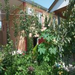 Kirayə (günlük) 2 otaqlı Həyət evi/villa İsmayıllı 2