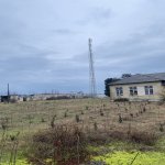 Satılır Torpaq Astara 11