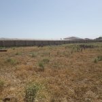 Satılır Torpaq, Məhəmmədli, Abşeron rayonu 4