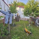Kirayə (günlük) 5 otaqlı Həyət evi/villa Qəbələ 4