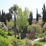 Satılır 7 otaqlı Bağ evi, Şüvəlan, Xəzər rayonu 24