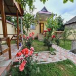 Kirayə (günlük) 3 otaqlı Həyət evi/villa Qəbələ 1