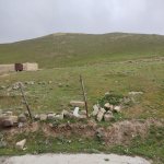 Satılır Torpaq, Hökməli, Abşeron rayonu 5
