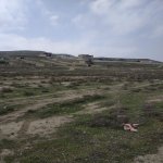 Satılır Torpaq, Goradil, Abşeron rayonu 3