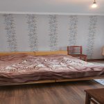 Kirayə (günlük) 2 otaqlı Həyət evi/villa Qax 7