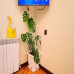 Satılır 5 otaqlı Həyət evi/villa Lənkəran 9