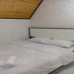 Kirayə (günlük) 3 otaqlı Bağ evi Qusar 9