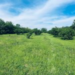 Продажа Участок Гябяля 15