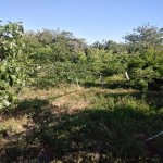 Satılır 6 otaqlı Bağ evi, Yeni Ramana, Sabunçu rayonu 3