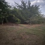 Satılır Torpaq, Novxanı, Abşeron rayonu 16
