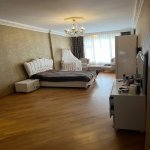 Kirayə (aylıq) 4 otaqlı Yeni Tikili, 28 May metrosu, Nəsimi rayonu 21