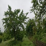Satılır Torpaq Qusar 3