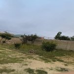 Продажа 4 комнатная Дома/Виллы, м. Короглу метро, пос. Забрат, Сабунчу район 3