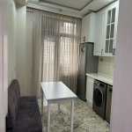 Kirayə (aylıq) 2 otaqlı Yeni Tikili, Gənclik metrosu, Kubinka, Nəsimi rayonu 14