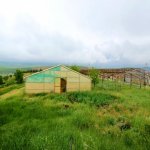 Satılır Torpaq Şamaxı 12